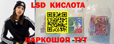 стафф Котовск