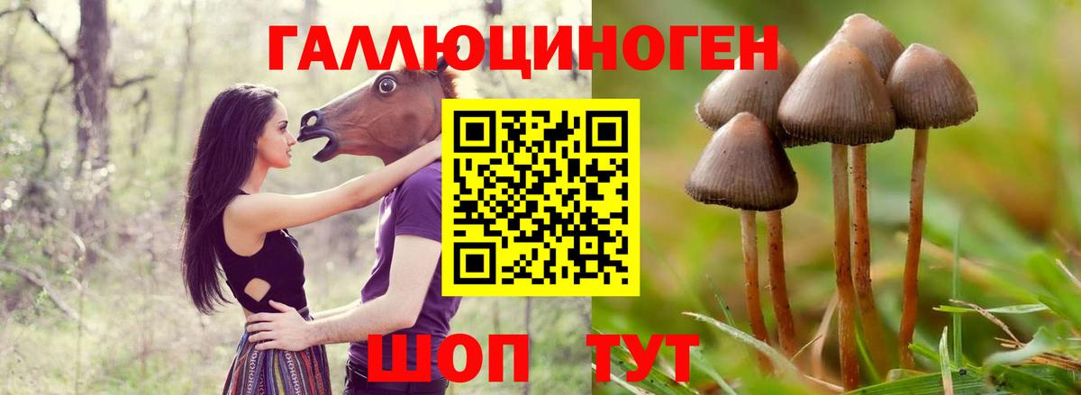 Псилоцибиновые грибы GOLDEN TEACHER Среднеуральск